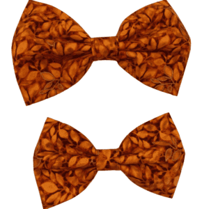 autumn leaves bowtie