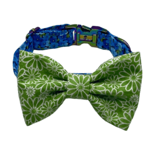 blue garden dog collar