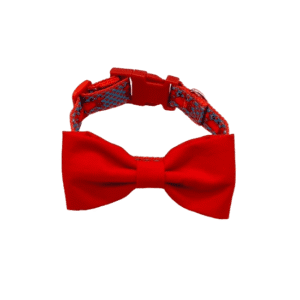 cutie crab dog collar