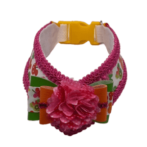 disney inspired fruit cocktail custom collar