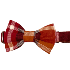 fall plaid adjustable dog collar