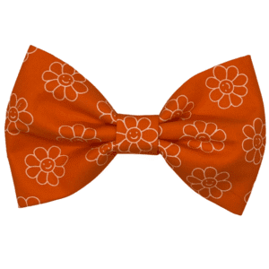 orange you happy bowtie