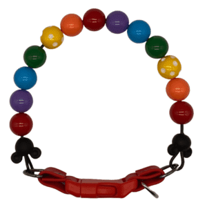 pride beaded dog collar