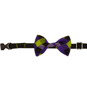 purple and lime checkered adjustable collar little dogs or cats