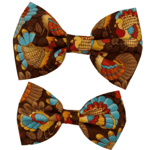 teal turkey bowtie