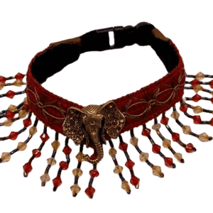 the savanna custom collar
