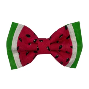 Watermelon-patterned bow tie with vibrant colors.