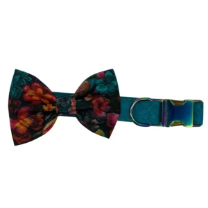 the luxe bloom butterfly adjustable dog collar