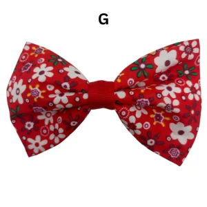 Red floral bow tie on white background.