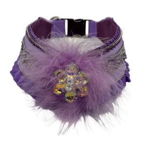 Purple feathered dog collar with jeweled decoration.