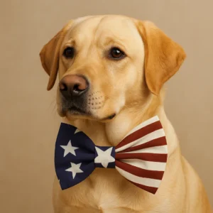 Dog wearing American flag bowtie