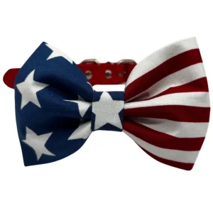 American flag-patterned bow tie on red collar.