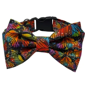 Colorful butterfly pattern bow tie collar