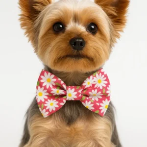 Cute dog with floral bow tie
