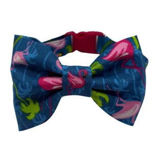 flock star bowtie bougie dog collar