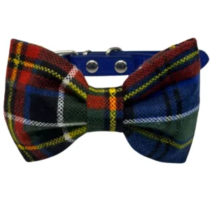 Colorful plaid bowtie with blue collar