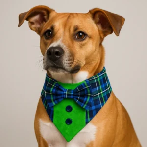Dog wearing plaid bow tie and green vest