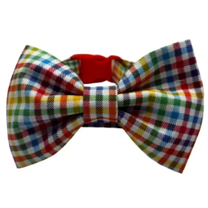 popsicle parade bowtie bougie dog collar