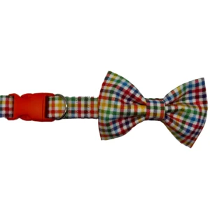 popsicle parade bowtie bougie dog collar