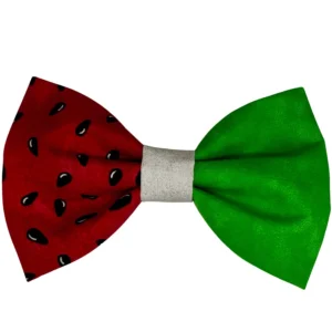 Watermelon-themed bow tie with red and green colors.