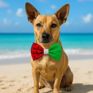 Dog with bow tie on beach