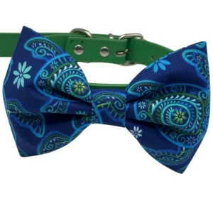 Blue patterned bow tie on green collar