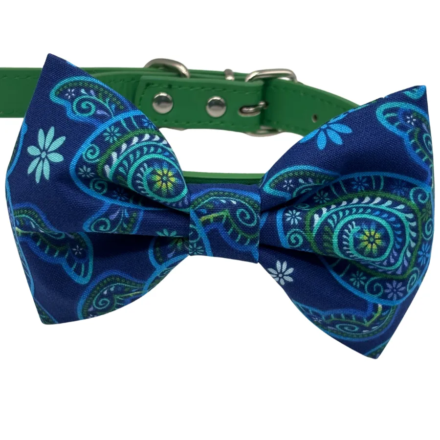 Blue patterned bow tie on green collar