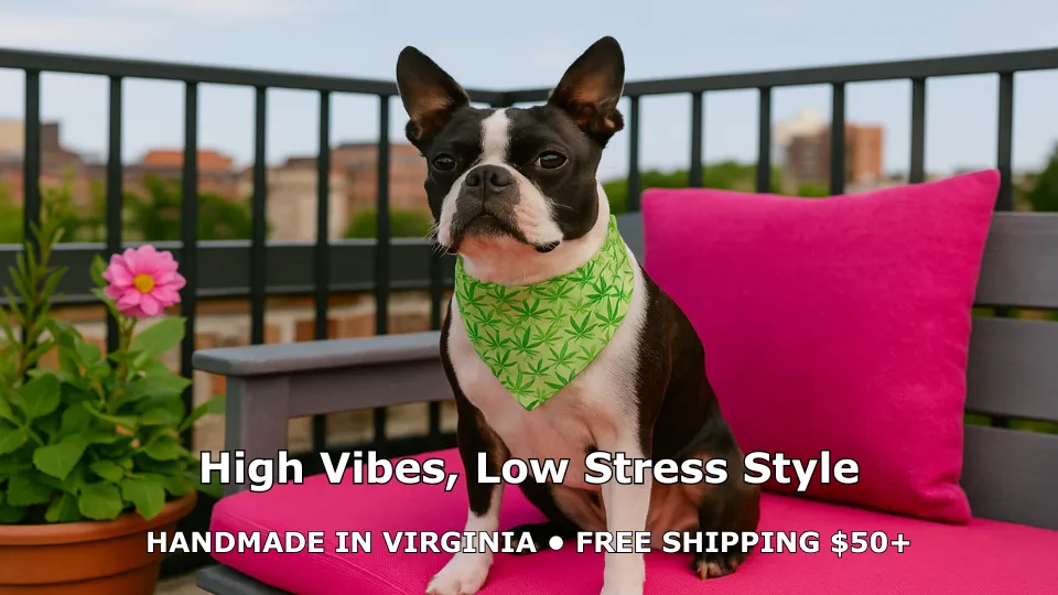 Dog in bandana on pink cushion outdoor bench.