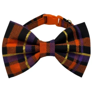 Cauldron Cutie Adjustable Collar for Little Dogs