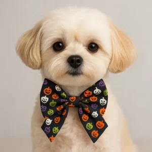 Cute dog wearing Halloween bow tie.