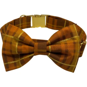 Orange plaid bow tie with gold accents