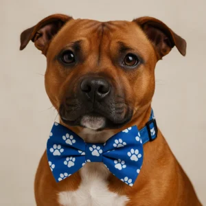 Dog wearing blue paw print bow tie.