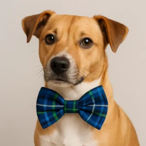 Dog in plaid bow tie portrait