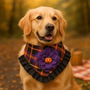 Golden retriever in Halloween bandana outdoors