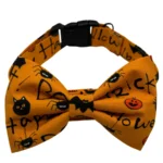tricks and treats bowtie collar Halloween-themed orange bow tie with cats and bats