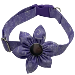 Purple dog collar with flower decoration