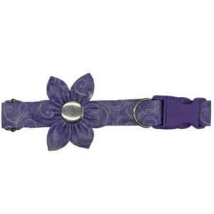 Purple dog collar with flower decoration.