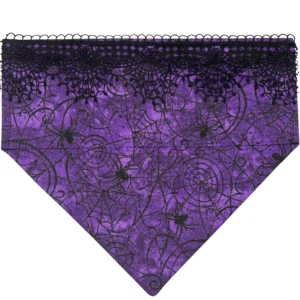 Wicked Web Over the Collar Bandana