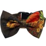 pumpkin patch adjustable dog collar Floral dog bow tie with autumn colors.