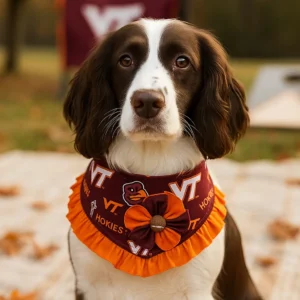 Dog wearing Virginia Tech Hokies bandana outdoors.