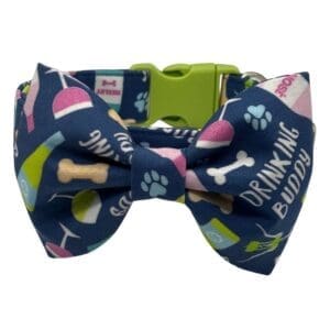 Pet collar with drinking buddy design