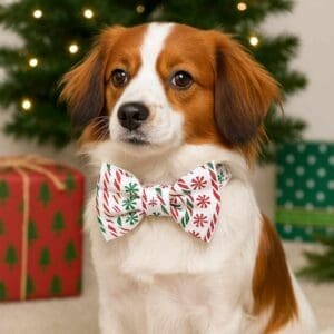 Dog with holiday bowtie by Christmas presents