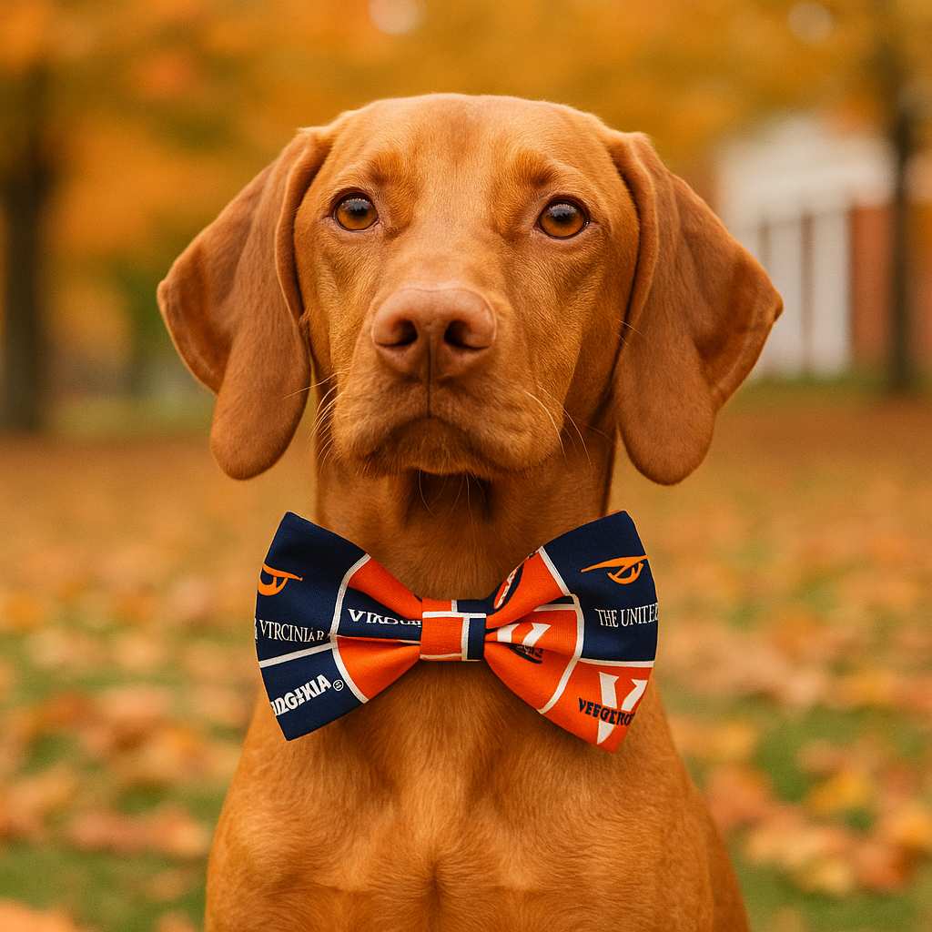 Dog wearing bow tie in autumn setting.
