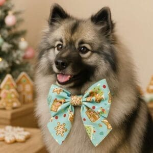 Dog wearing festive bow tie near Christmas decorations.