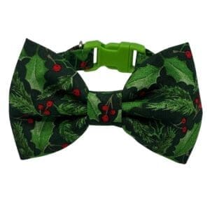 Festive holly bow tie with green buckle.