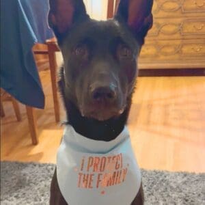 Black dog with 'I protect the family' bandana.