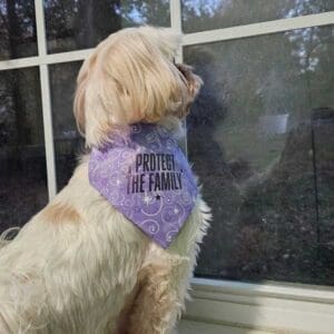 Dog with 'Protect the Family' purple bandana