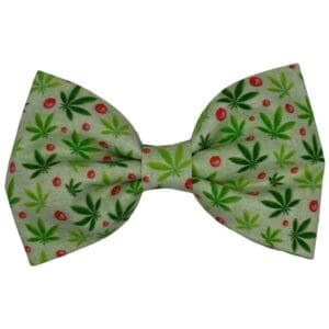 Green bow tie with cannabis leaf pattern.