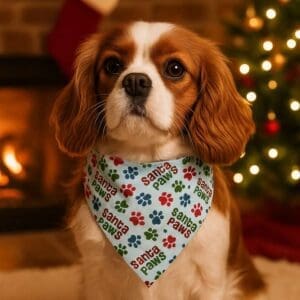 Cavalier King Charles Spaniel with holiday bandana by fireplace