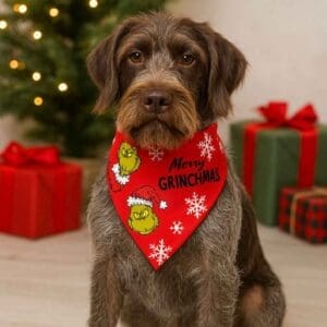 Dog wearing Merry Grinchmas bandana by Christmas tree.